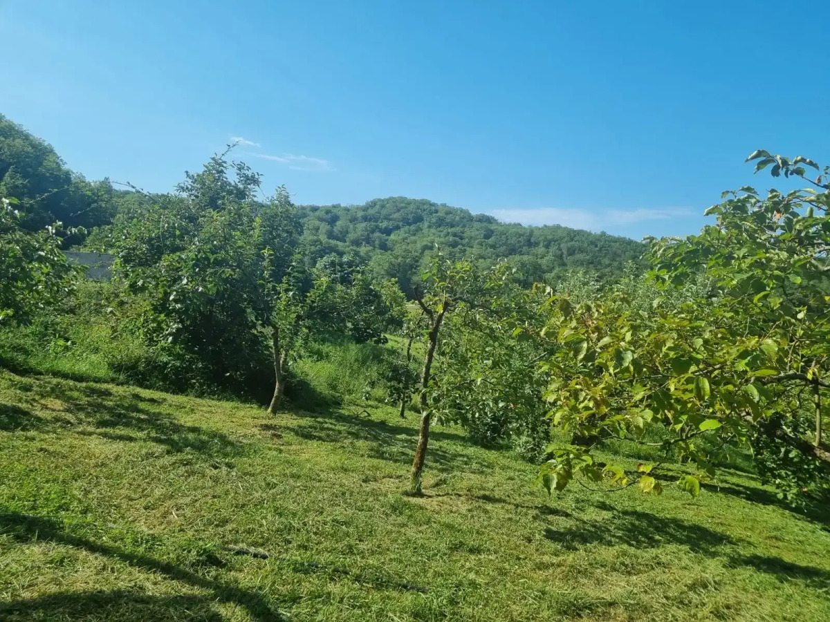 Отель Ферма Фермерский эко-отель Sreda