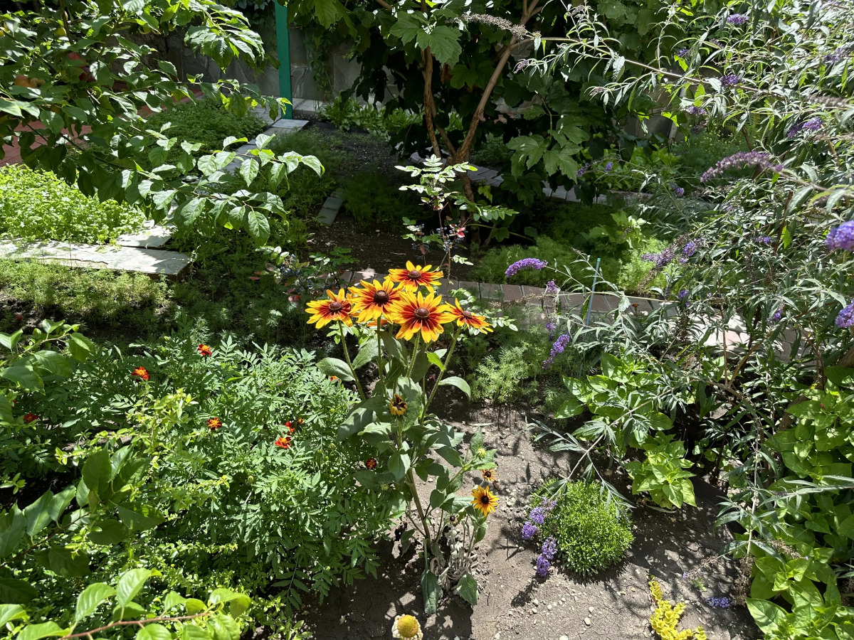 Гостевой Дом Отдых у Александра