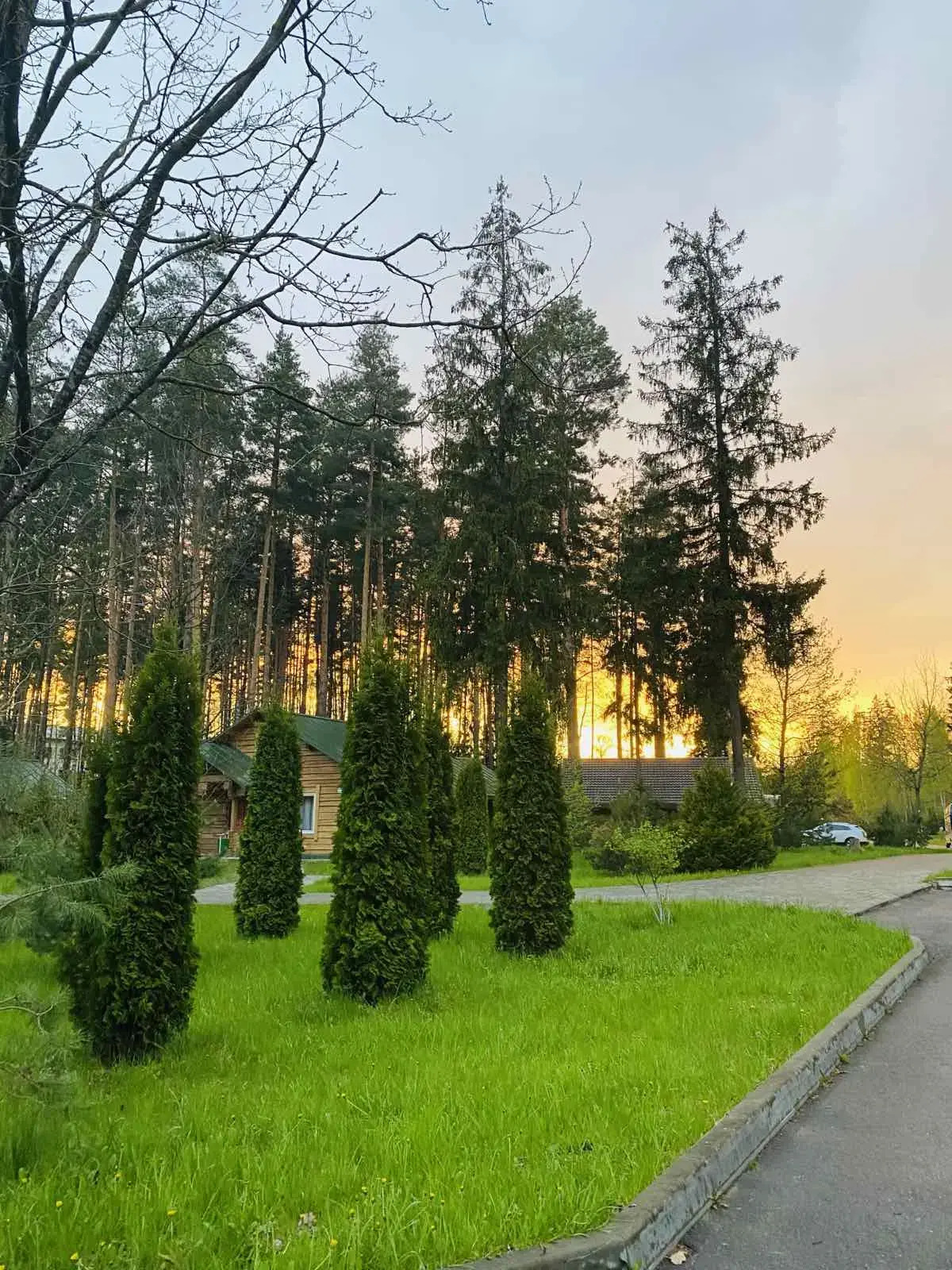 Отель Green Park Conference & Spa