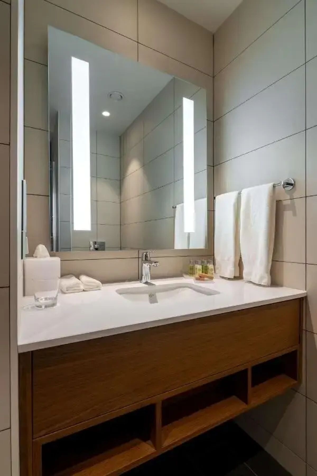 Отель Hilton Garden Inn Tbilisi Chavchavadze