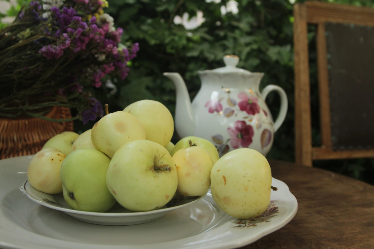 Гостевой Дом Рейд