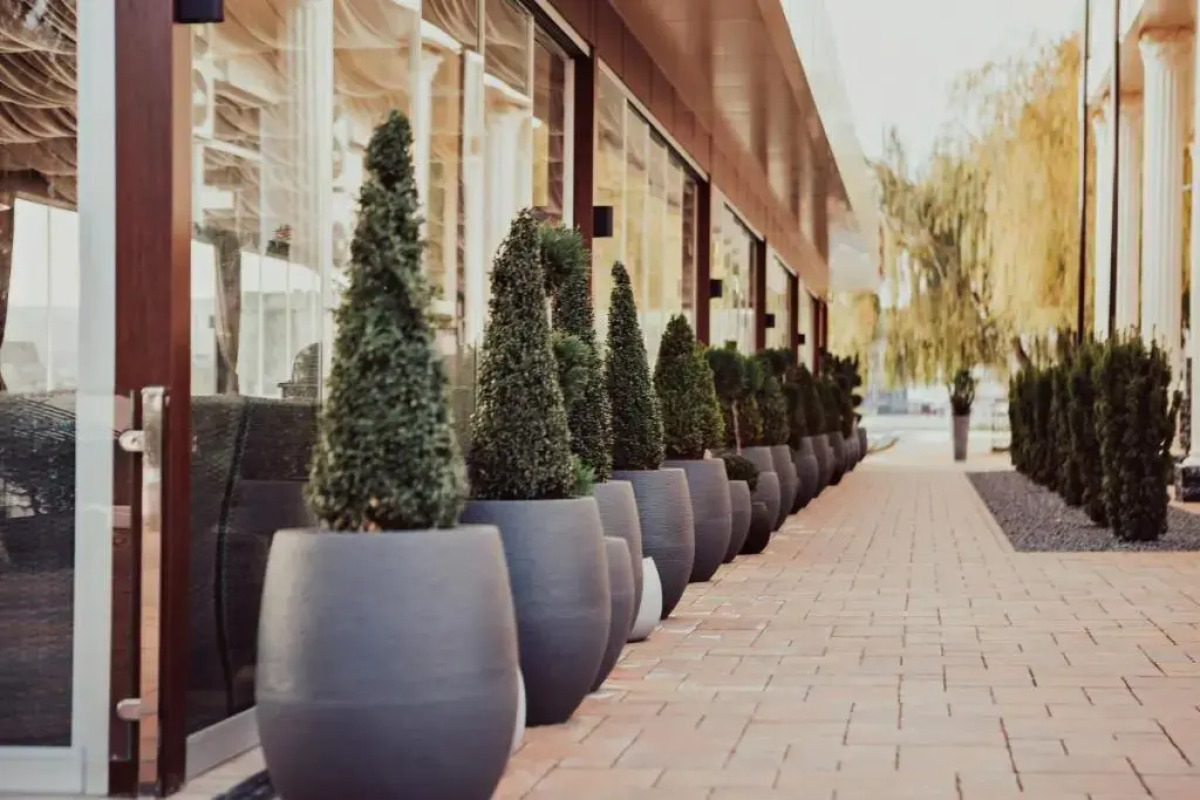 Отель Панорама