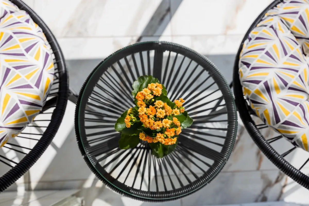 Апартаменты Люкс у Крестовского острова