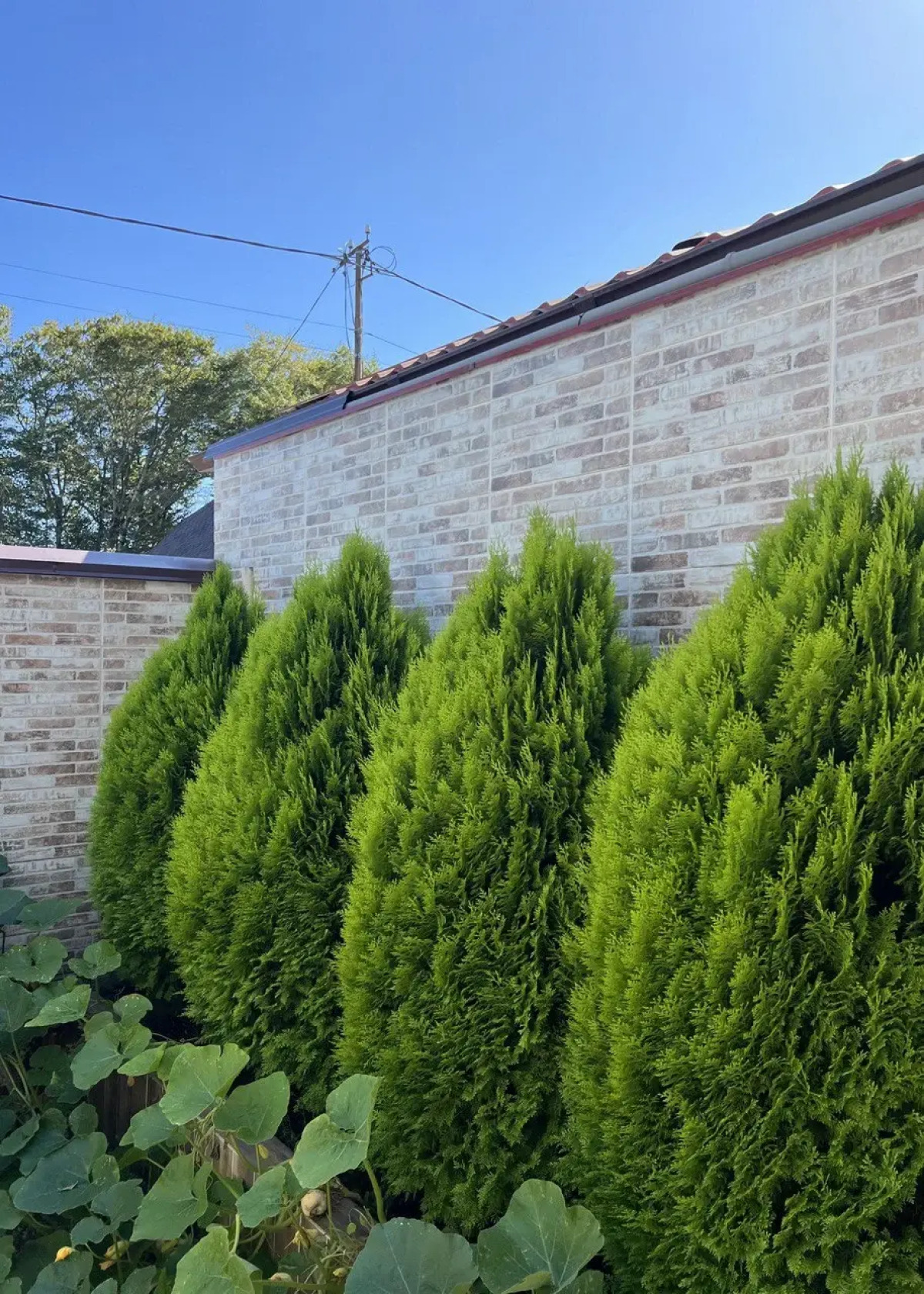 Гостевой дом КофеИН