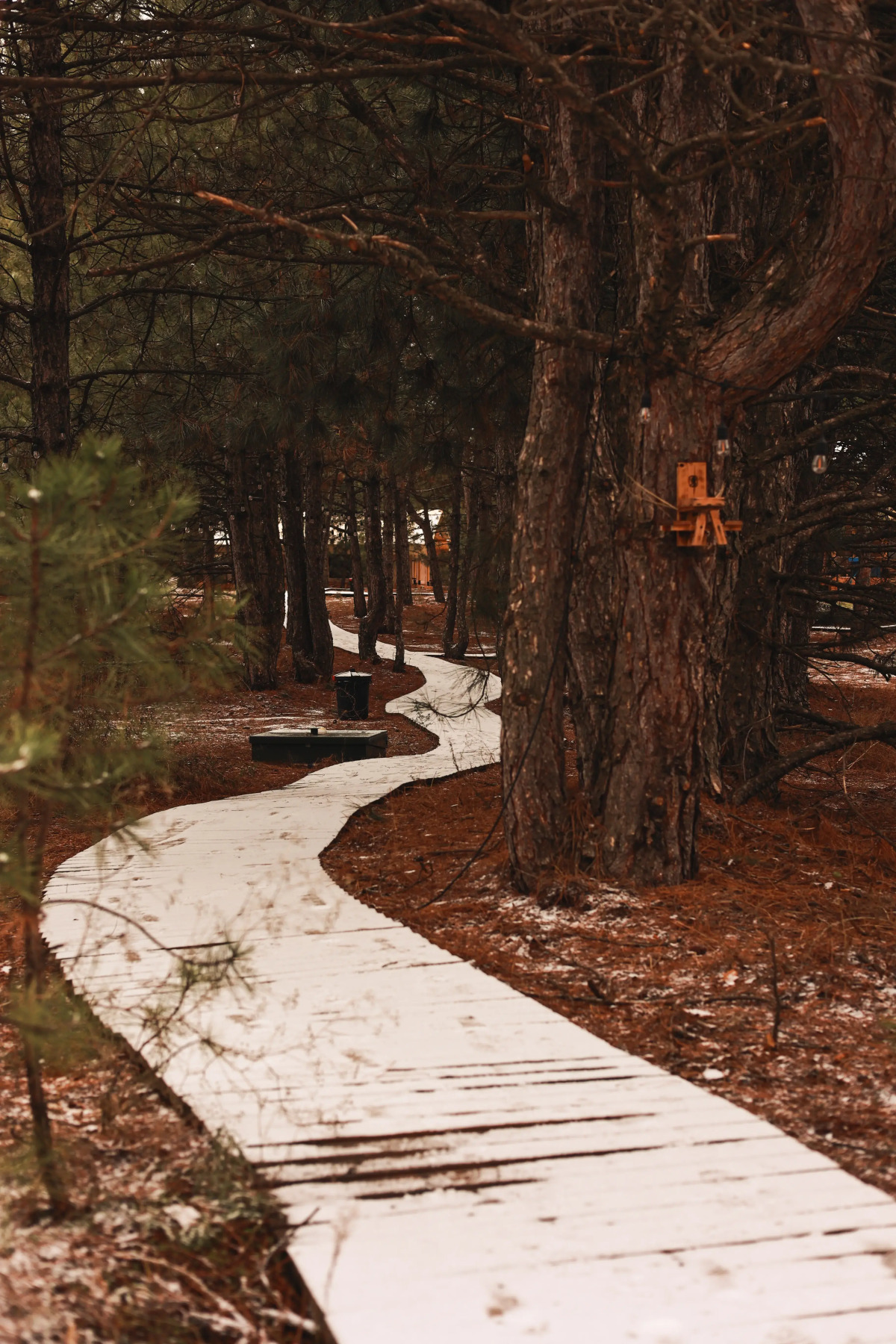 Глэмпинг Синий Яр