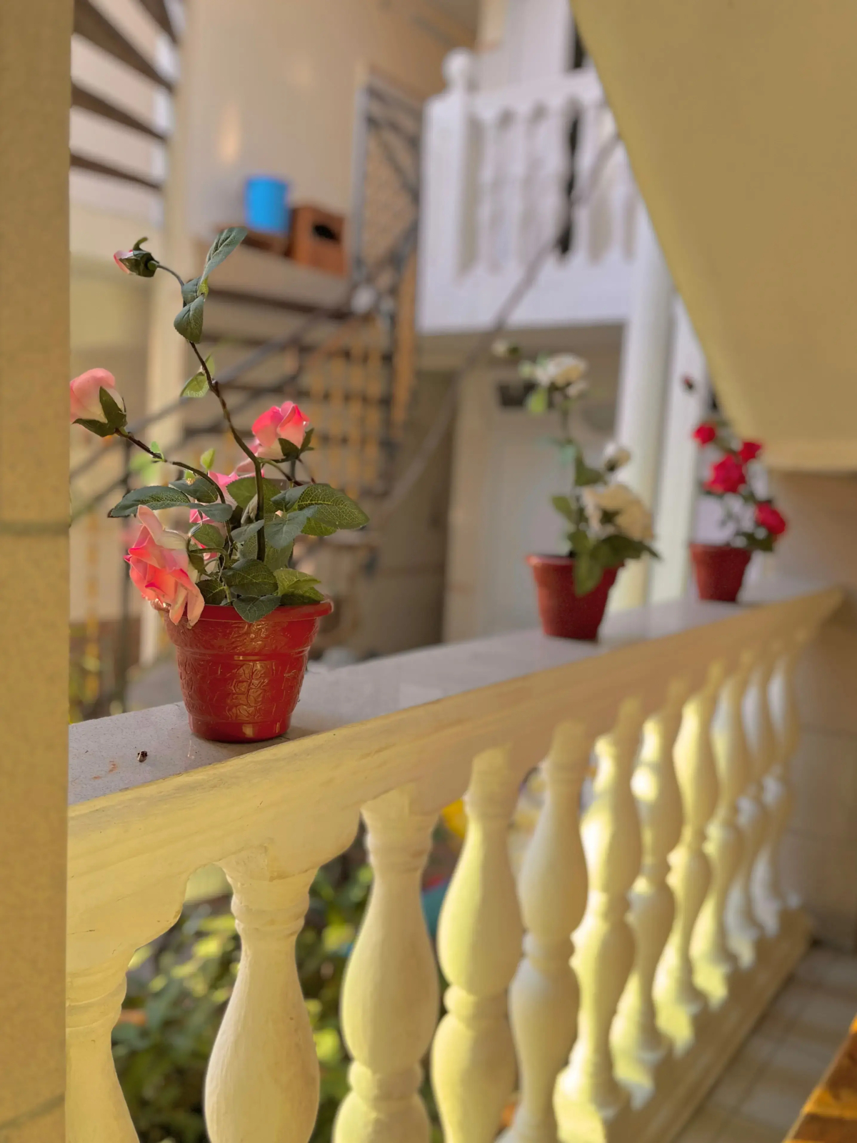 Гостевой Дом ЮгАделия Сочи