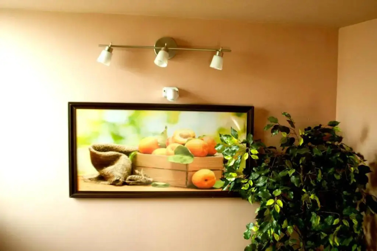 Гостевой дом Абрикос