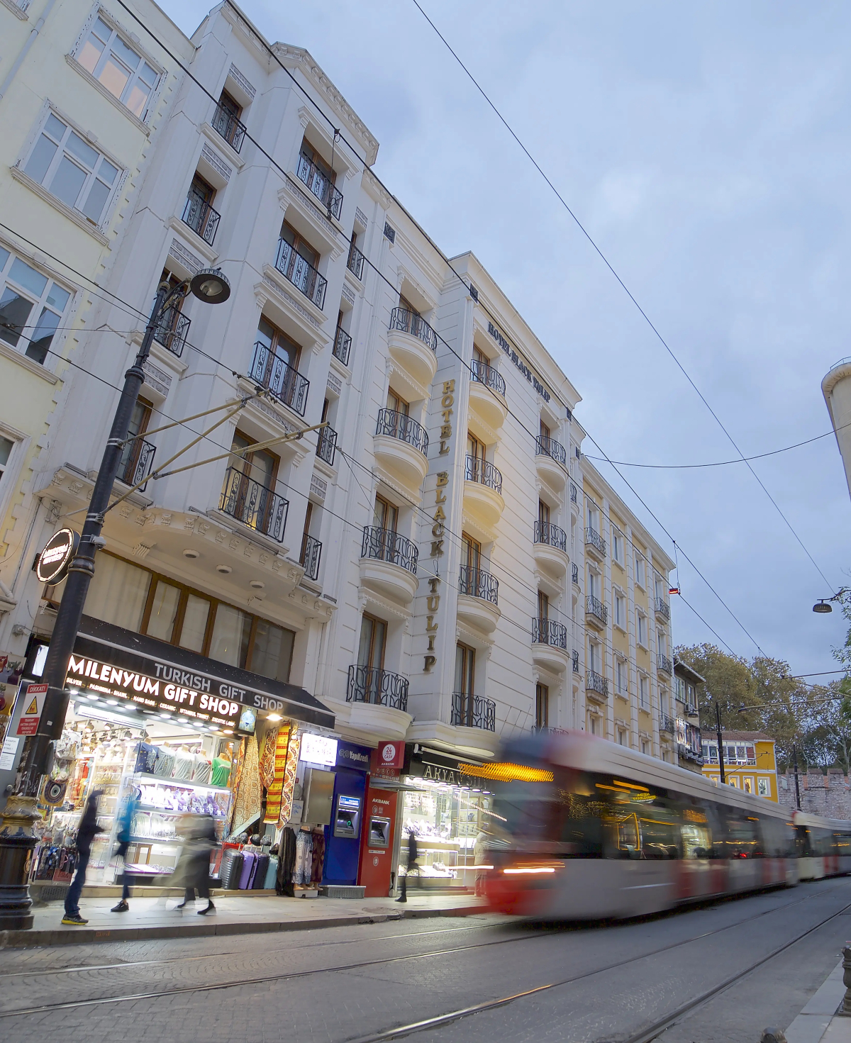 Отель Black Tulip