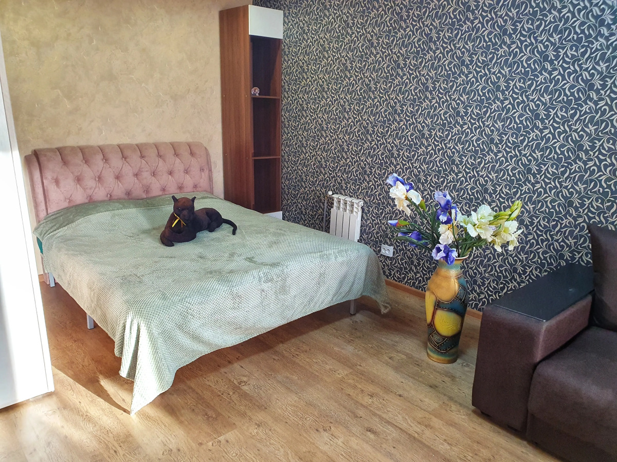 Апартаменты "Багира" рядом Протон-Арена, бассейн ДВВС, СКАД, въезд в город, Р228