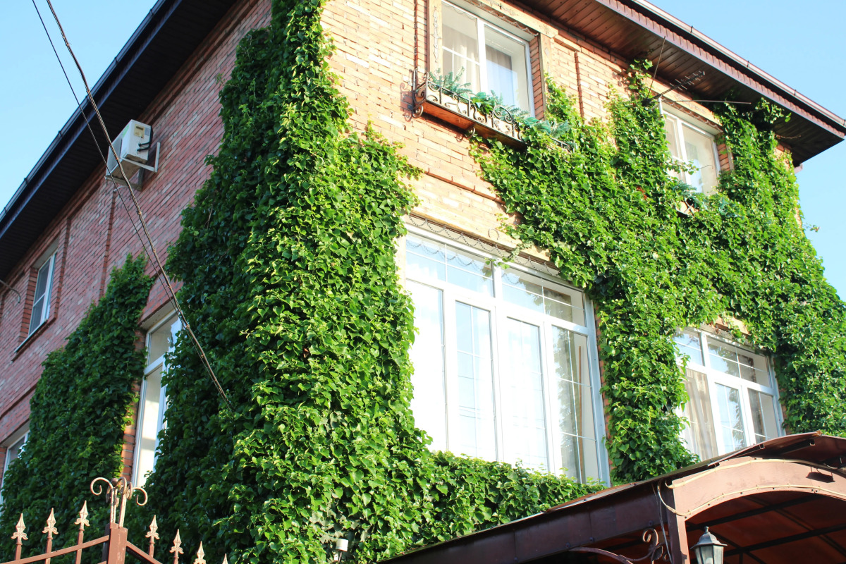 Гостевой дом У Друзей