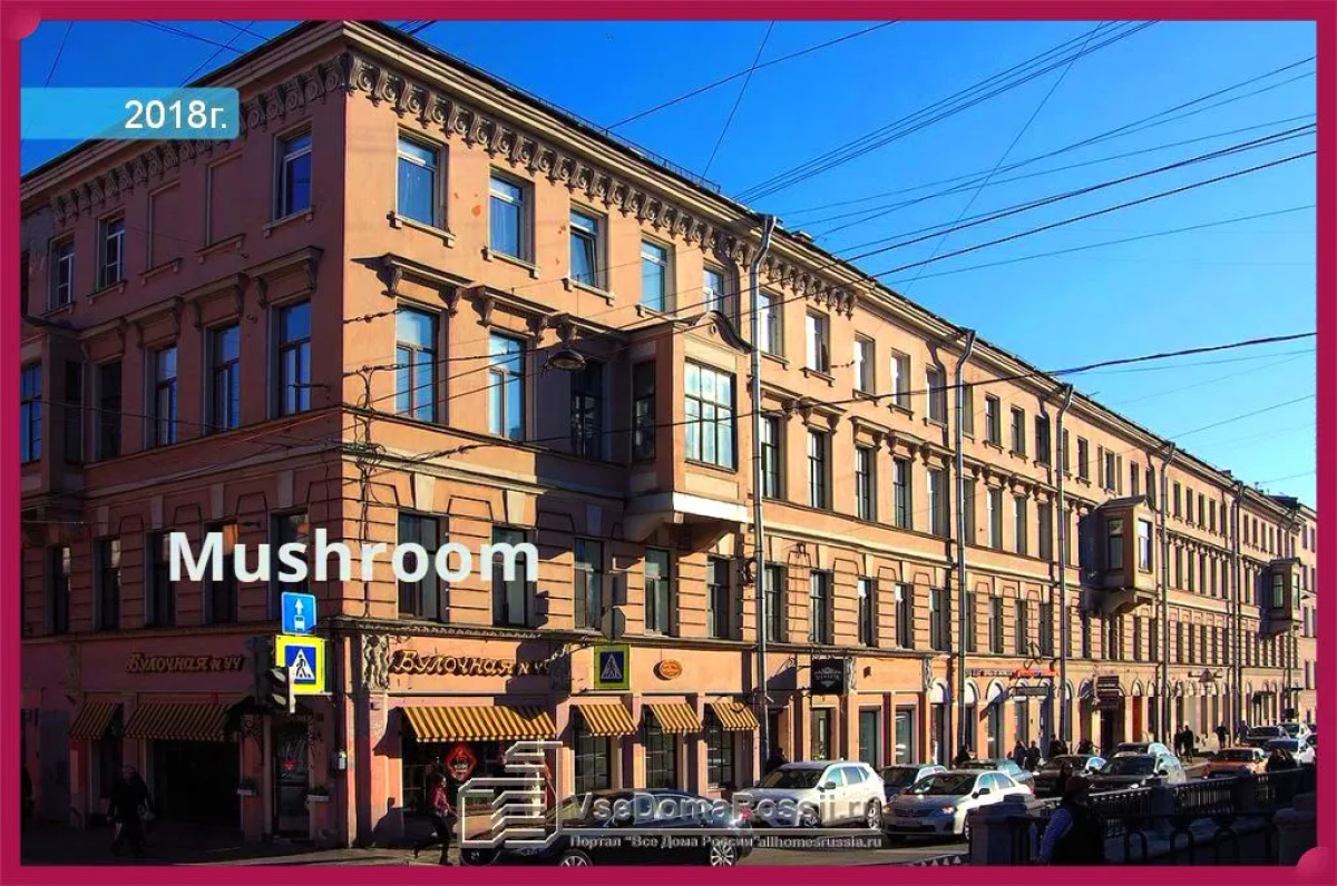 Mushroom24