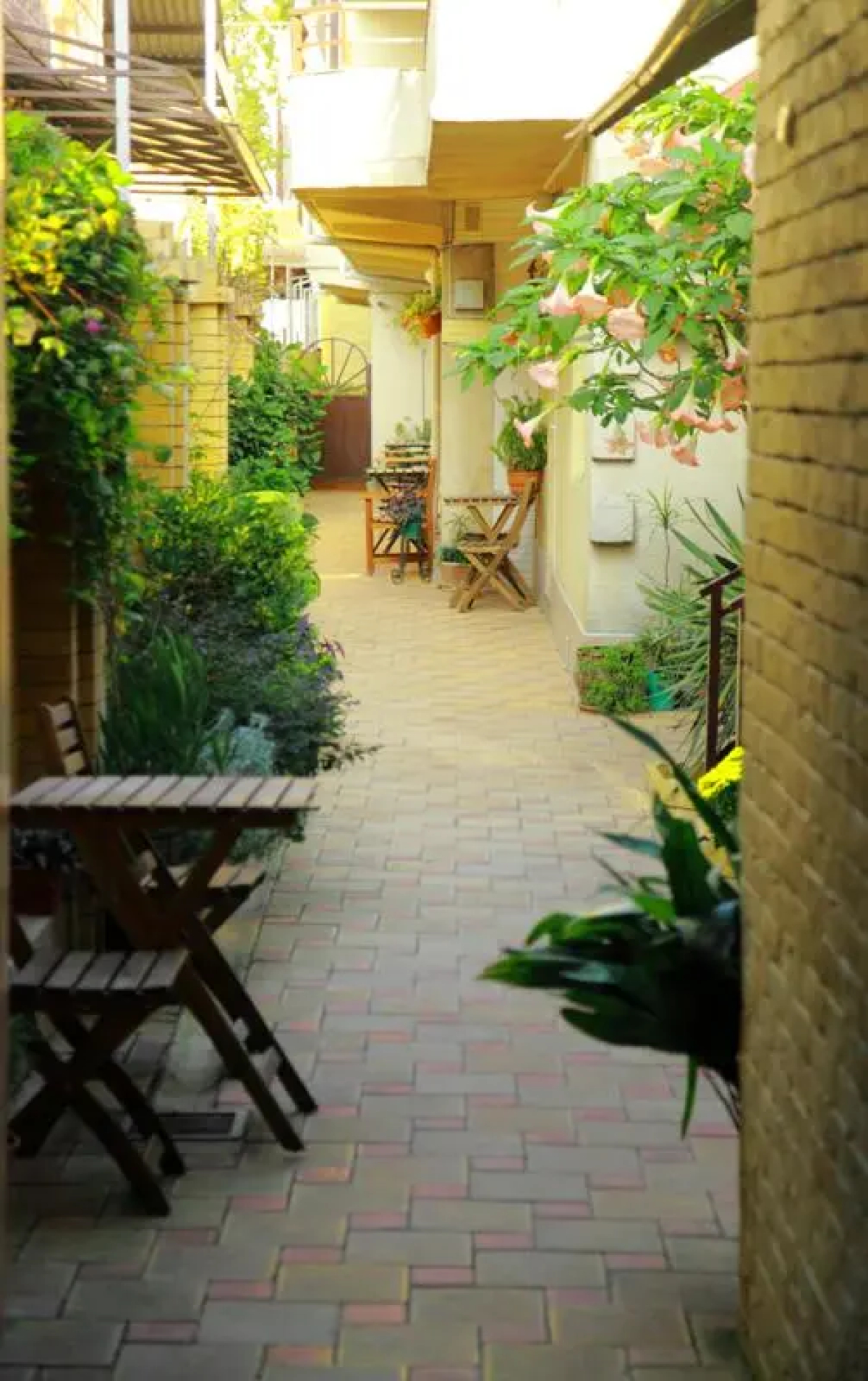 Меблированные комнаты Альянс