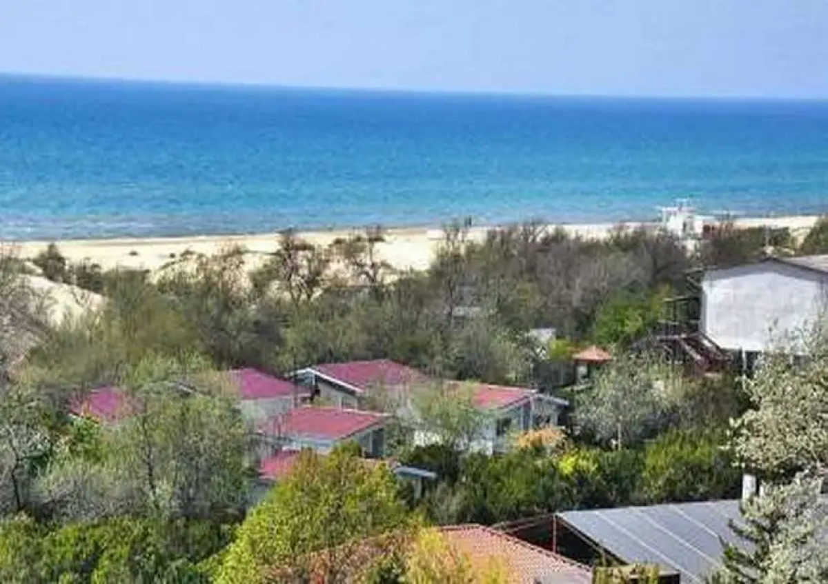 База отдыха Динамо 1