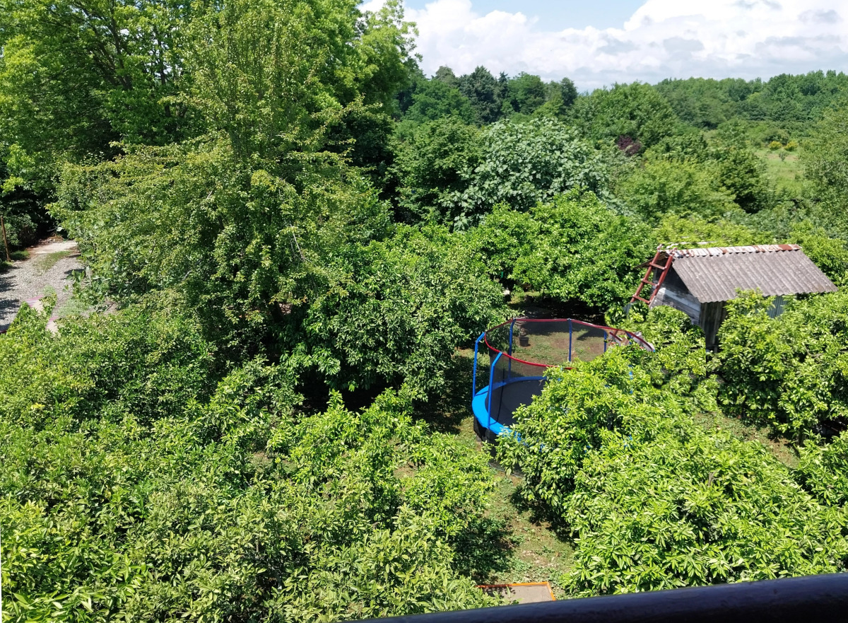 Отель Мандариновый берег