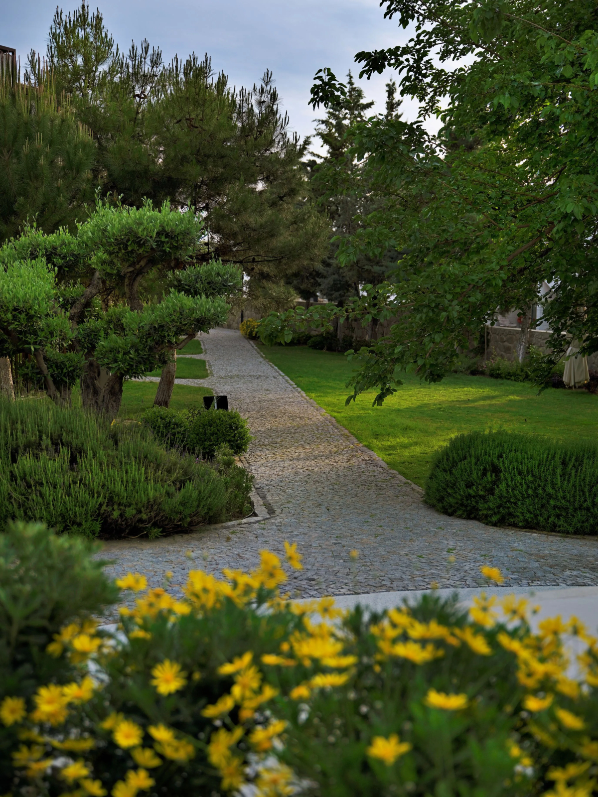 Бутик-отель Dorman suites