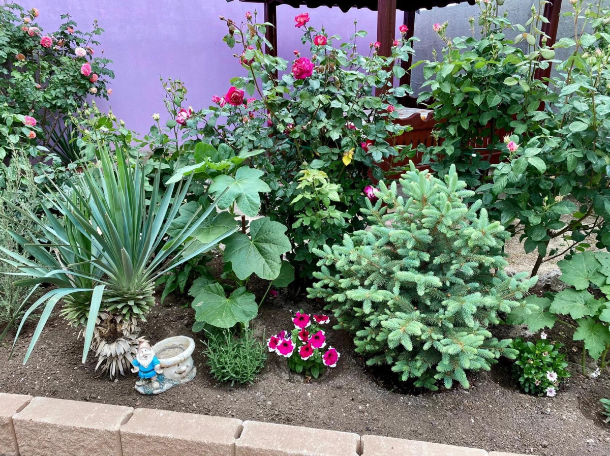 Гостевой Дом Фортуна