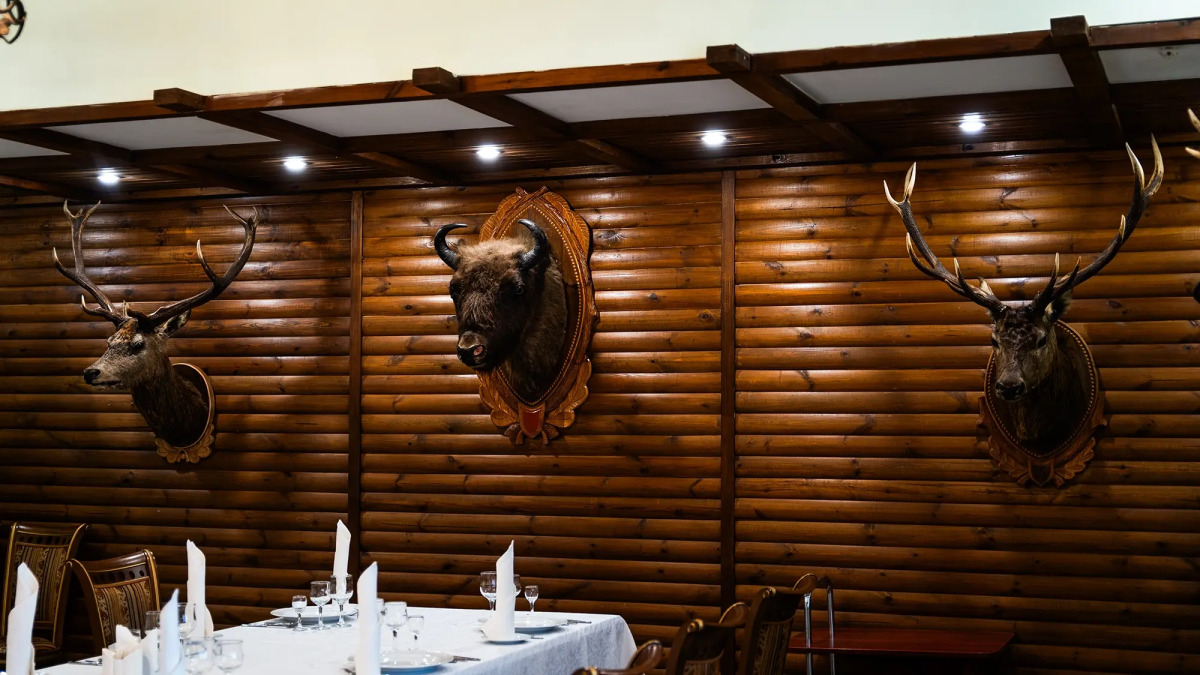 Гостиничный комплекс Парк-отель «Беловежская пуща»