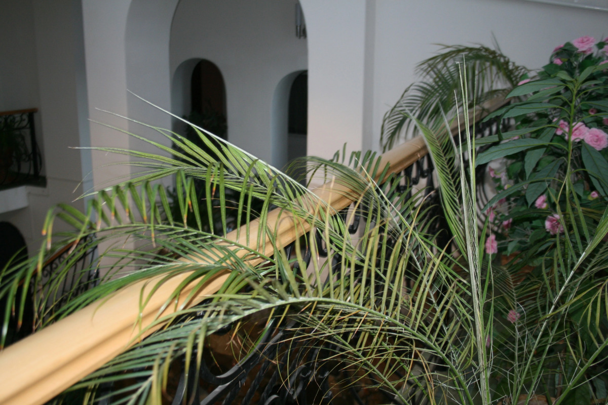 Гостевой Дом Каффа