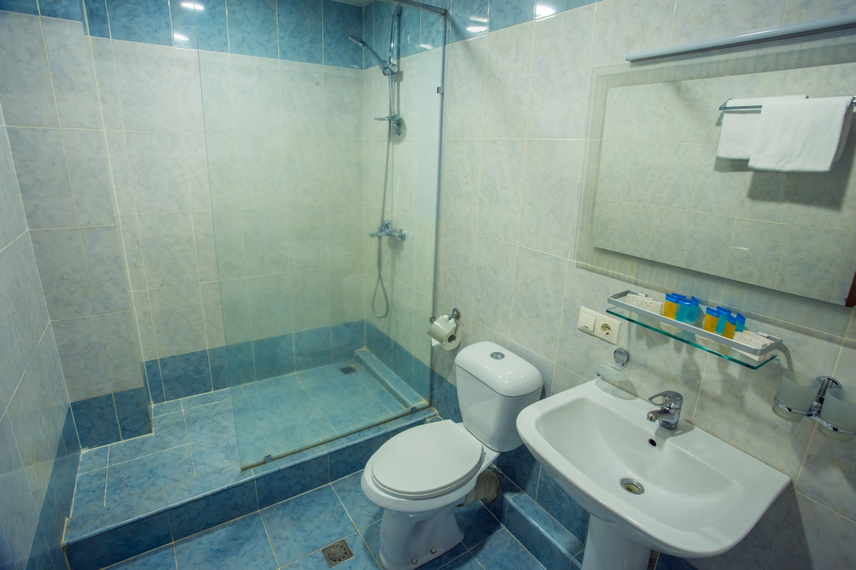 Отель Ani Central Inn