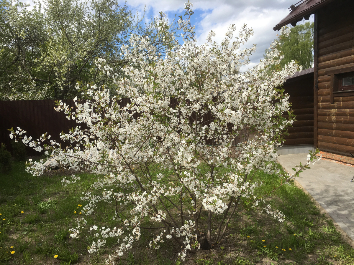 Бунгало Домик с Сауной 2