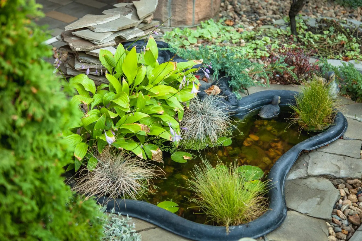 Гостевой Дом Аква-Солярис