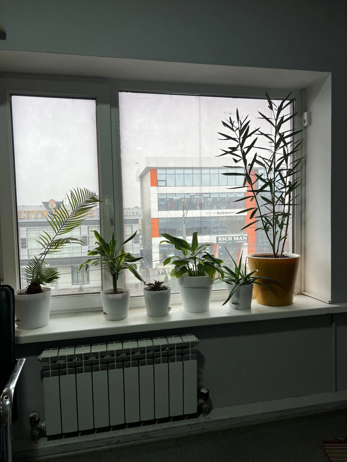 Хостел Капсула Эдем