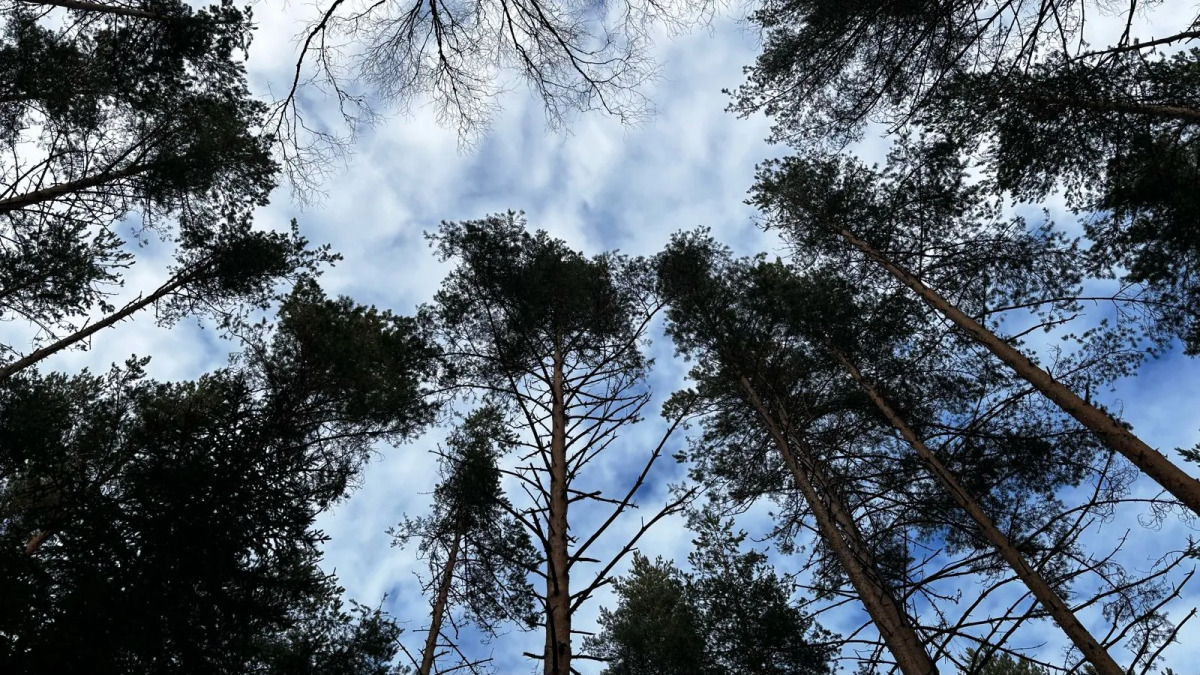 Частный дом Ладожские дюны