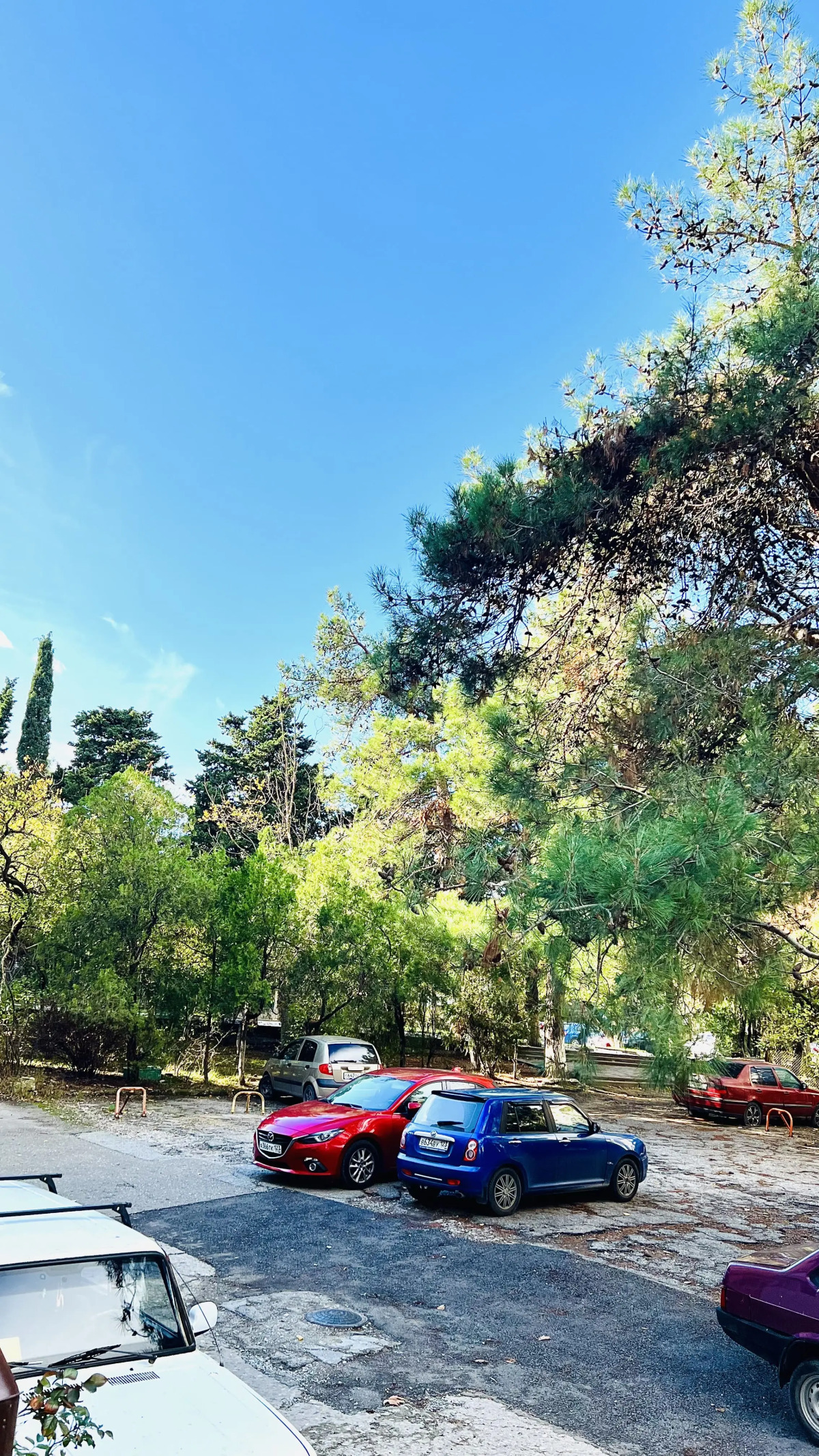 Квартира на Грибоедова