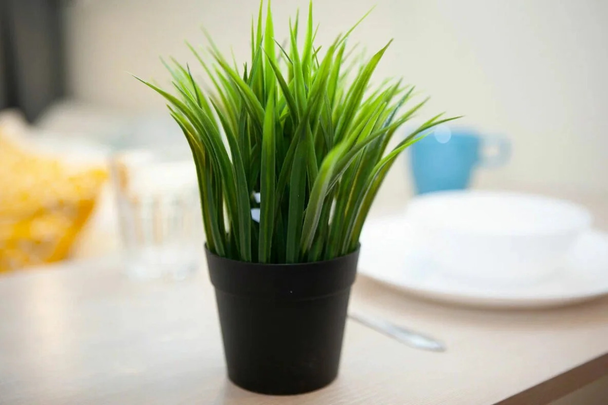 Квартира Сибиряков-Гвардейцев 15/1-3