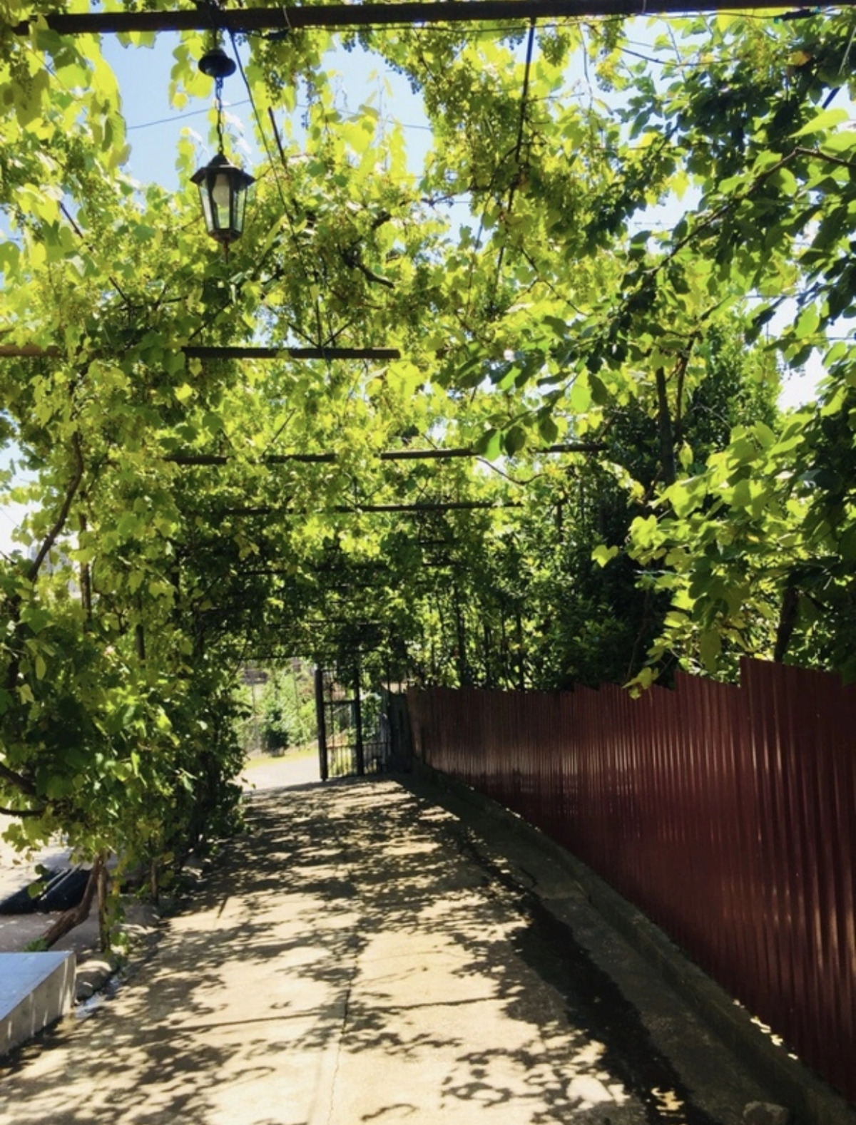 Мини-отель Мандариновый сад