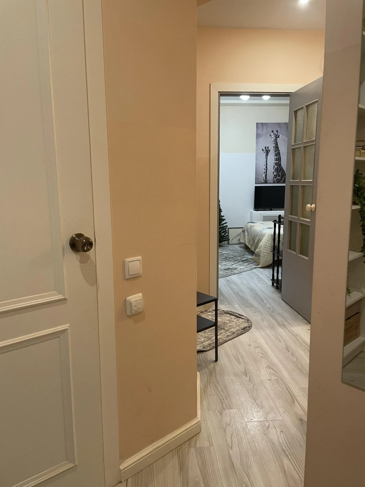 Апартаменты Квартира в центре с отдельным входом