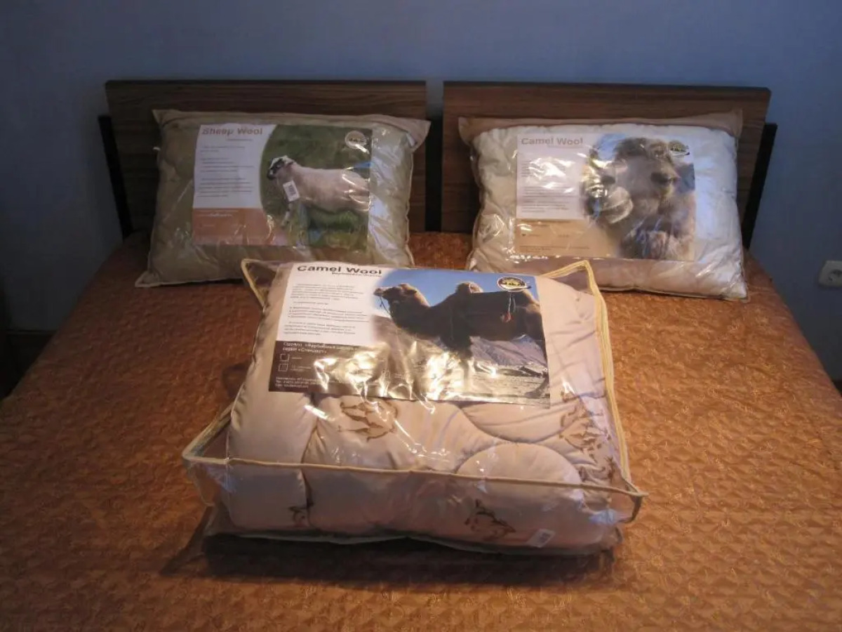 Апартаменты Pushkinskaya35