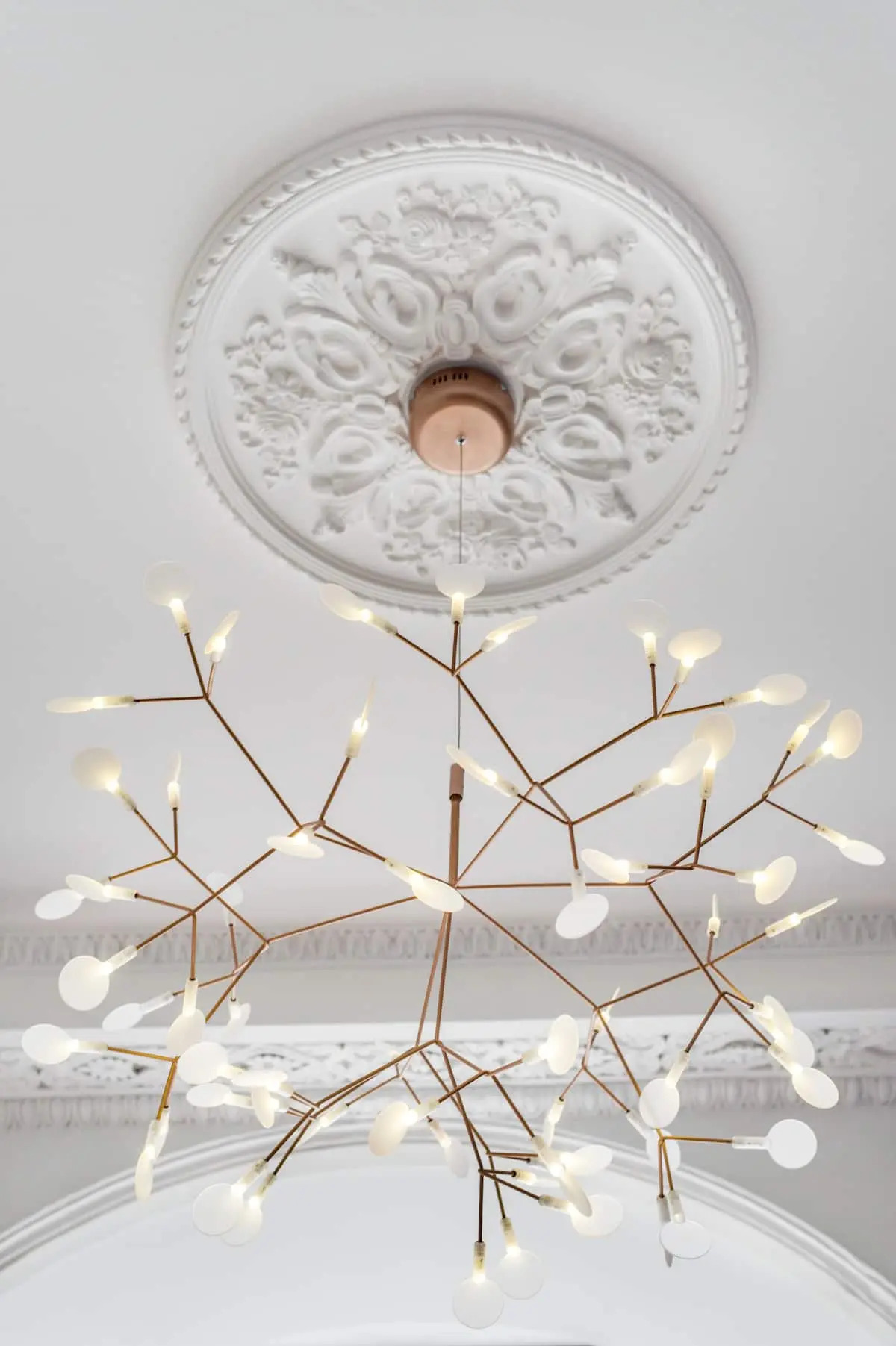 Меблированные комнаты F12