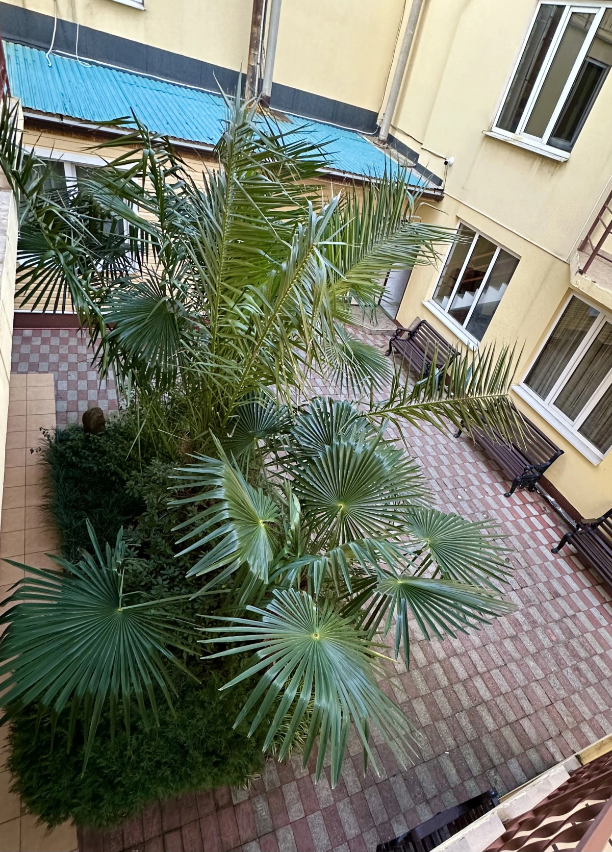 Гостевой дом Фонтан