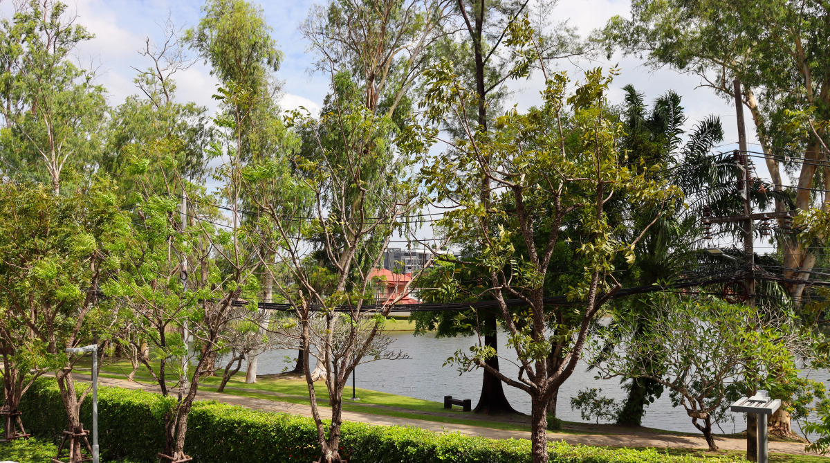 Апартаменты Cassia Residences by NLA