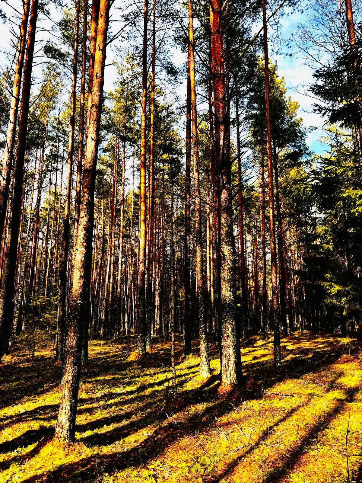 Частный дом Ладожские дюны