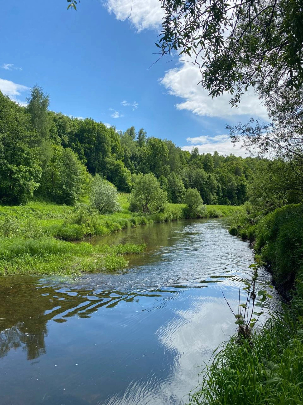 База отдыха Экопарк Бобровый Мыс