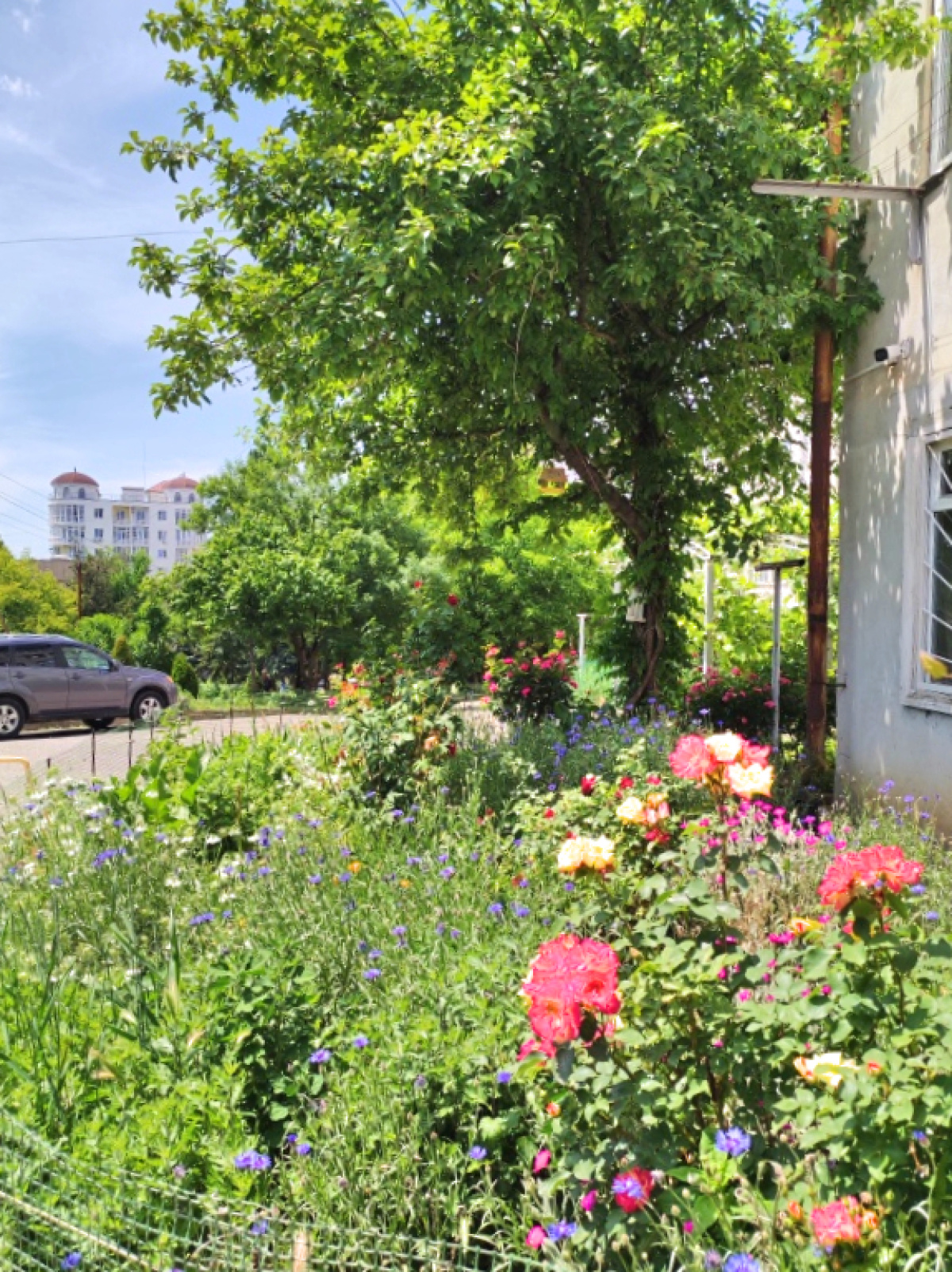 Квартира на Островского