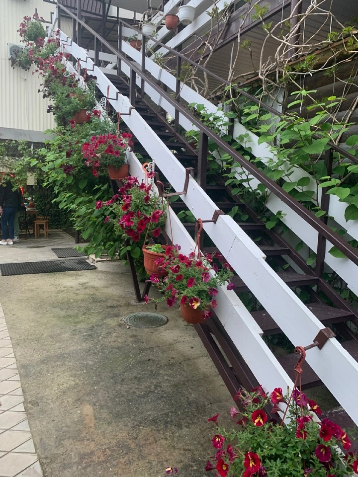 Гостевой дом Домик у Моря