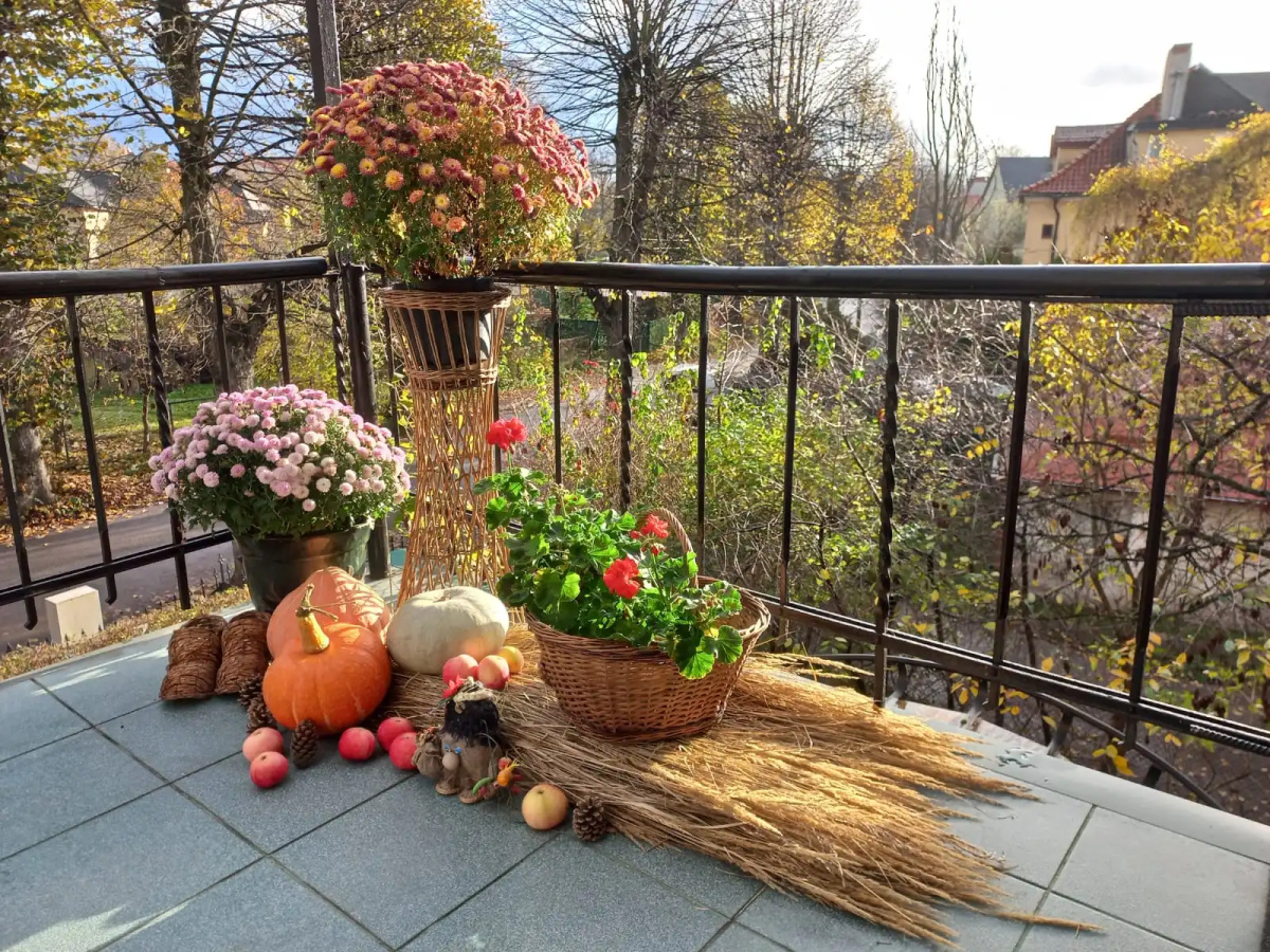 Апартаменты ВЕРОНИКА