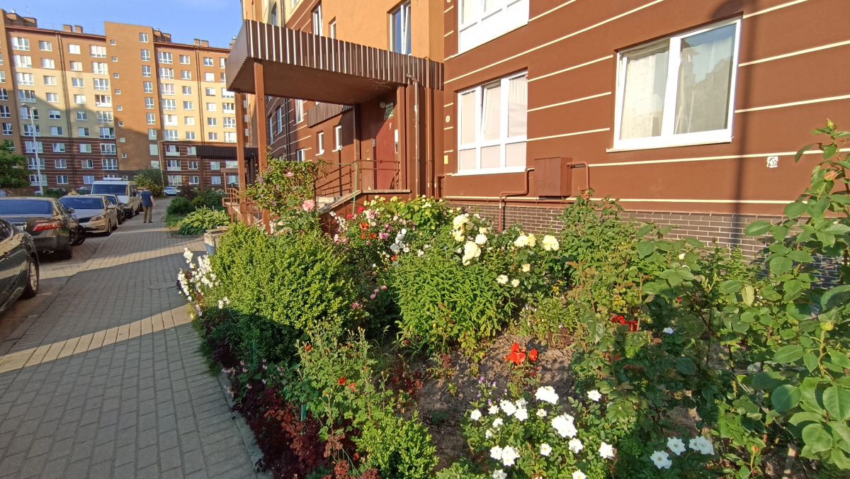 Апартаменты на Липовой Аллее 7