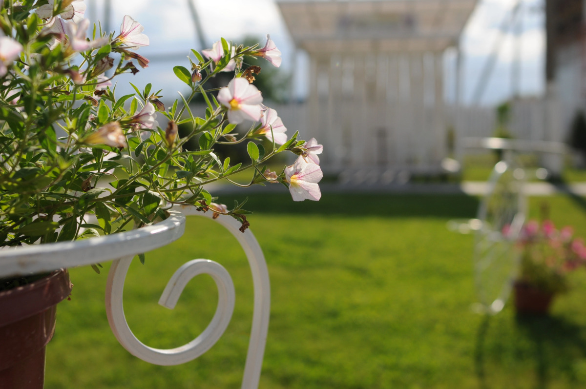 Мини-отель Подсолнухи