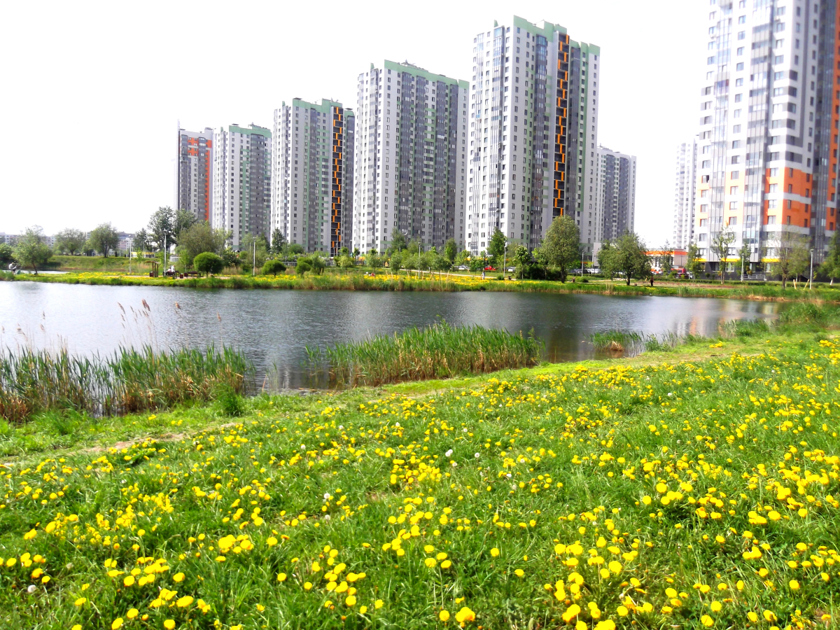 Квартира рядом с Озерами и Парками в Новом ЖК София