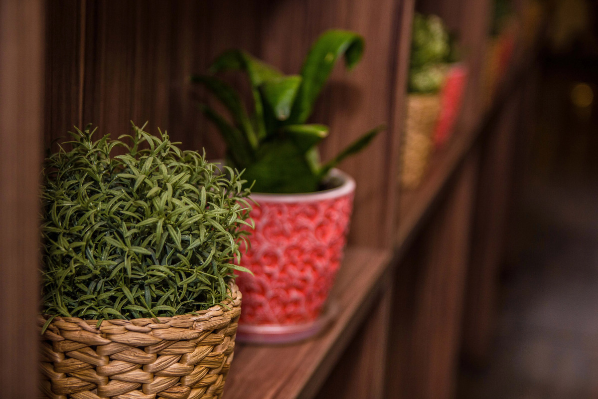 Отель Ситара