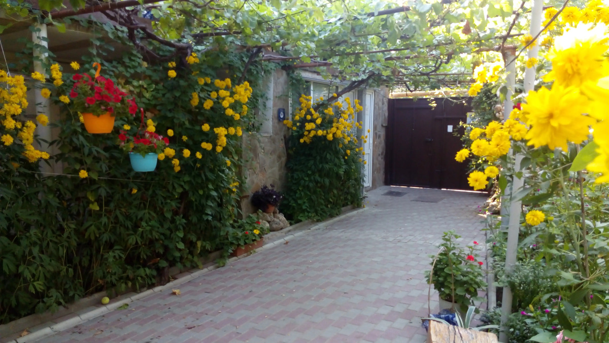 Гостевой Дом Ясень