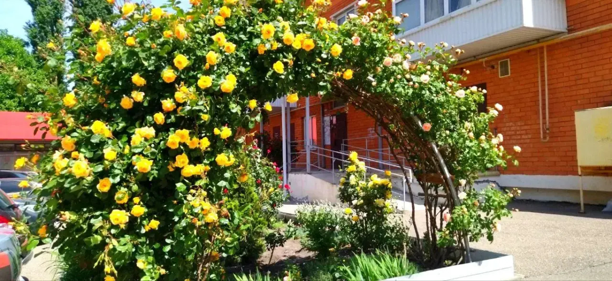 Квартира Однокомнатная Мкр.Курортный