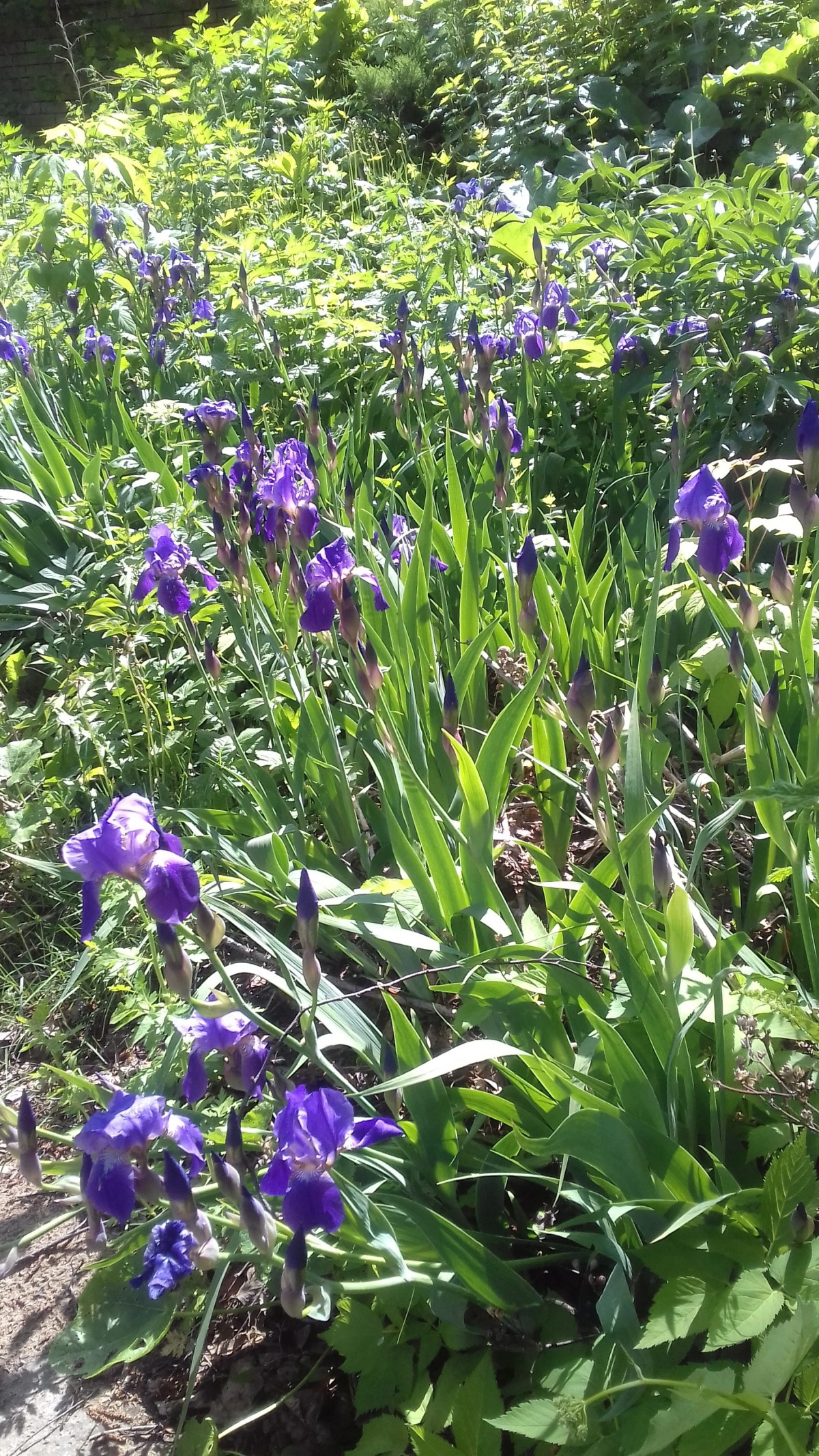 Гостиница У Домика Петра