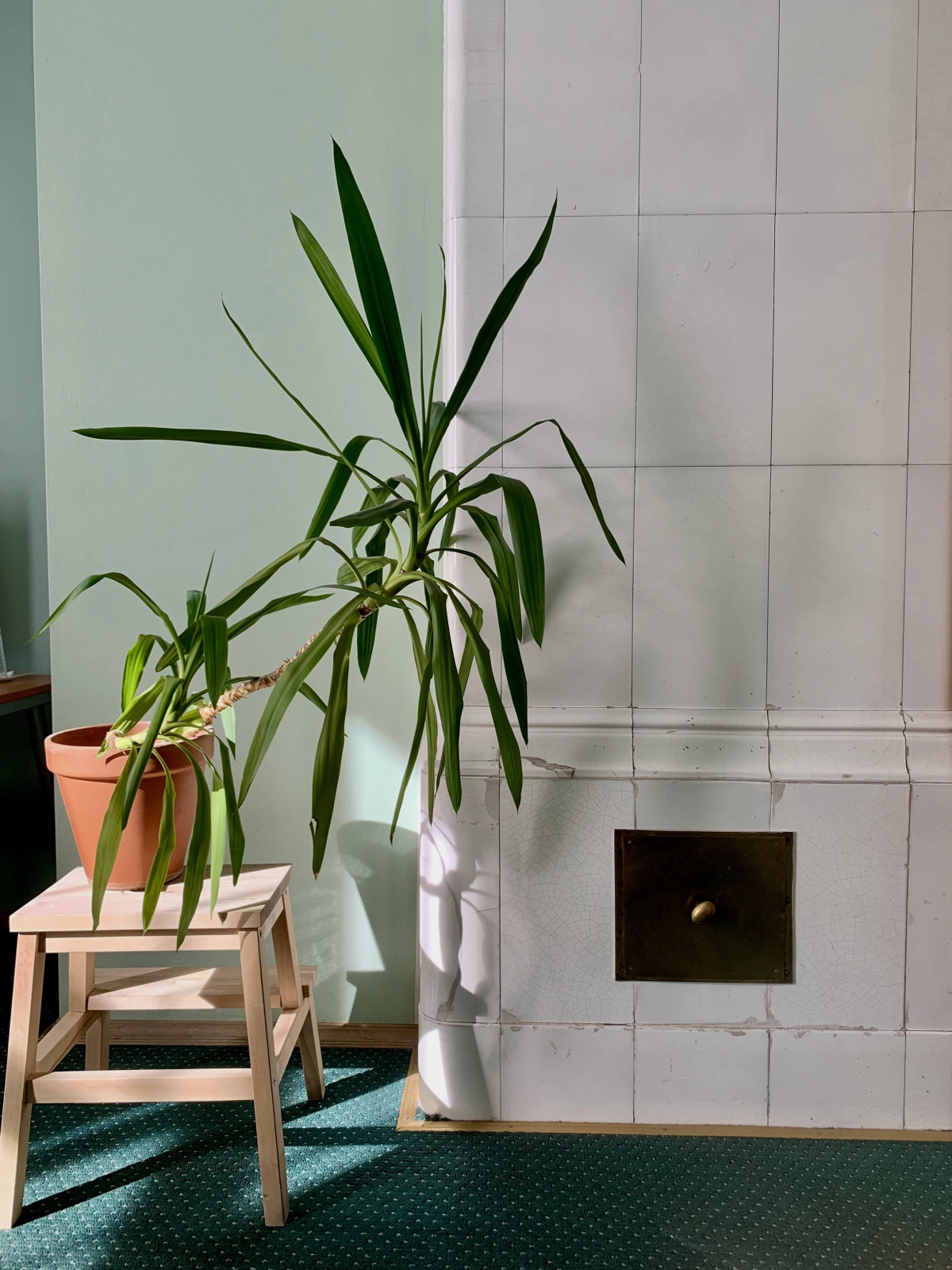 Отель Репин