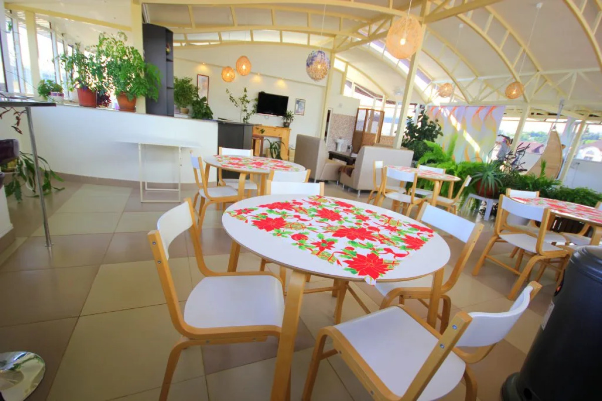 Аристократ (Сириус)