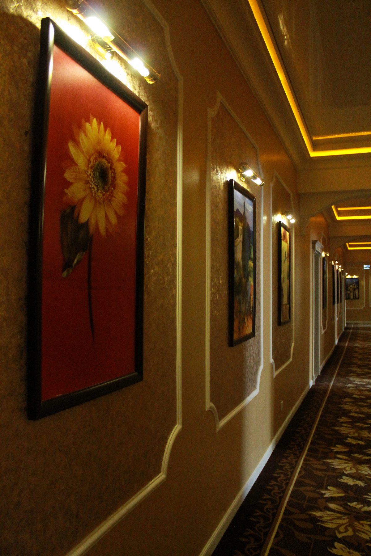 Отель Ковчег